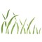 Tall Grass Wall Stencil | 2094 by Designer Stencils | Outdoor Stencils |